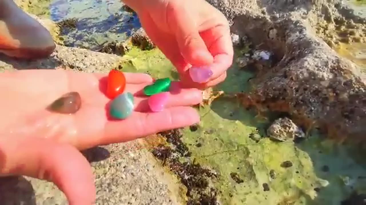 Low Tide Lobsters