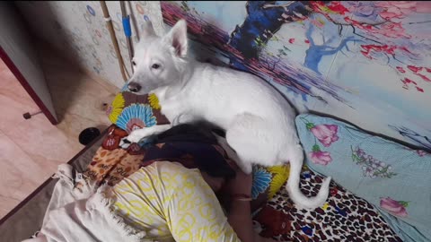 My akki