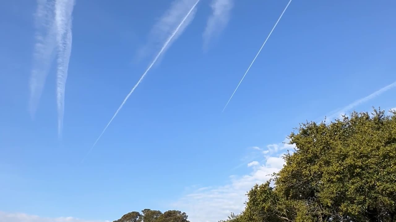 Disgusting Maggots Spraying Again!