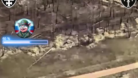 Drone Strikes on Russian Trenches Outside of the Serebryansky Forest
