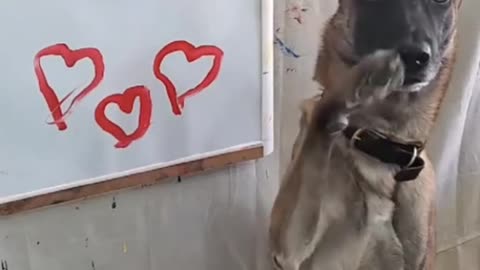 Câine Artist – Desenează 3 Inimioare și Fură Inimile Noastre! 🎨🐶❤️