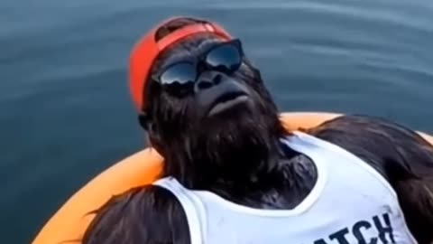Bigfoot finds some white paper