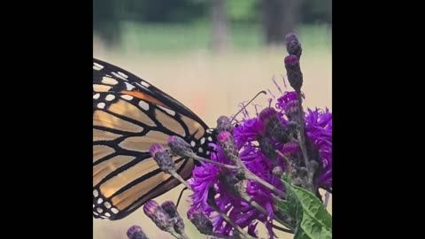 Weather in Geauga county ohio.