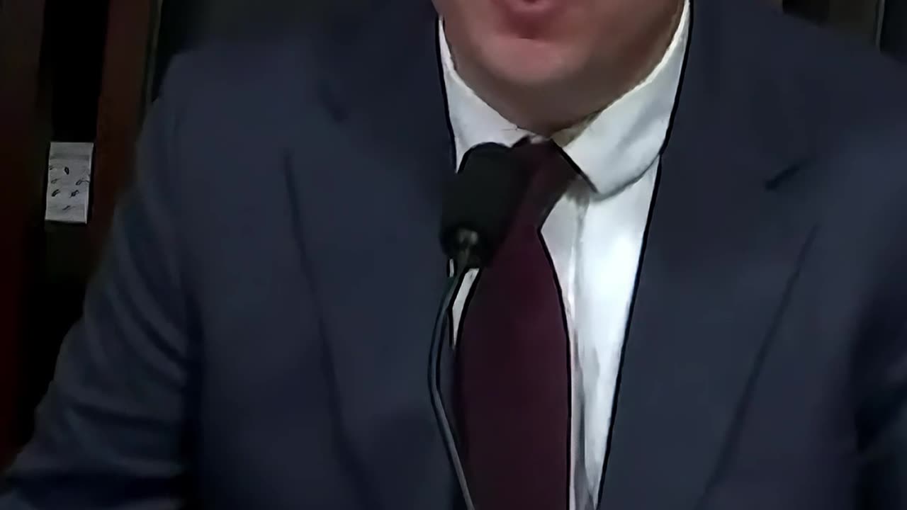 Curtis Schube uncovers how Democrats use NGOs like CISA to mute Americans on social media