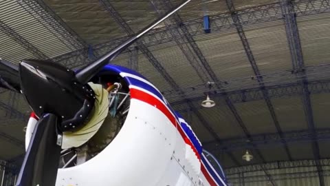 Acrobacias aéreas: una pasión sin límites