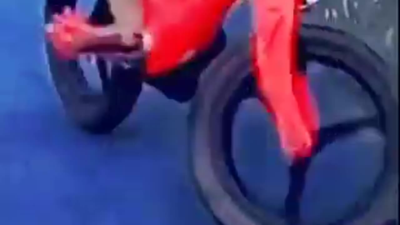 Monkey riding a bike with a baby