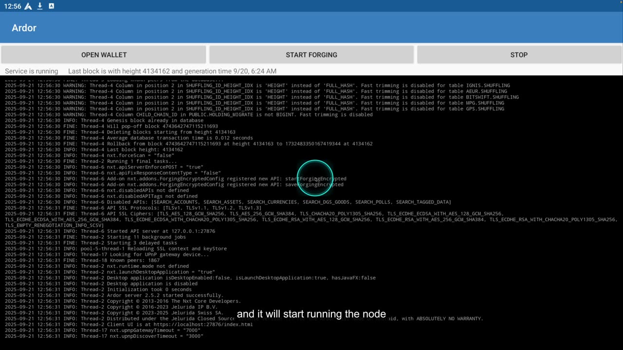 102 How to Open Your Wallet on an Ardor Android Node