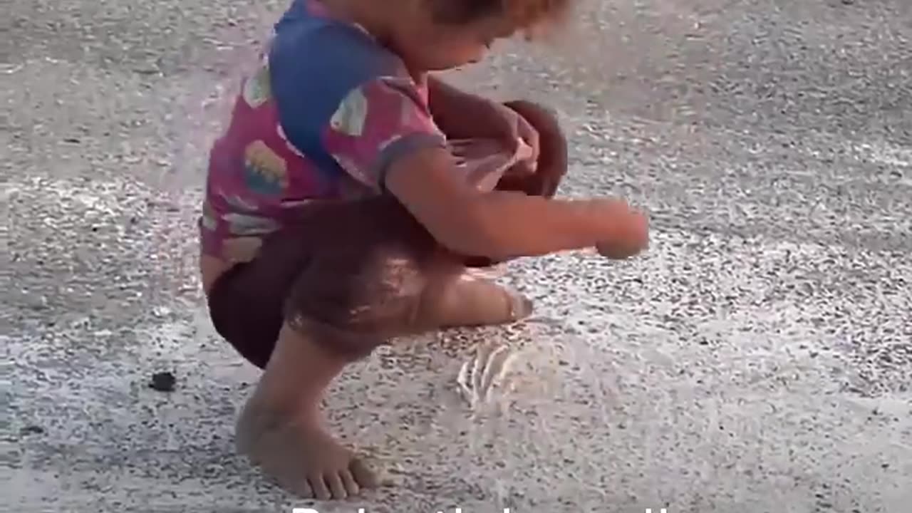 This is what Israeli controlled aid looks like