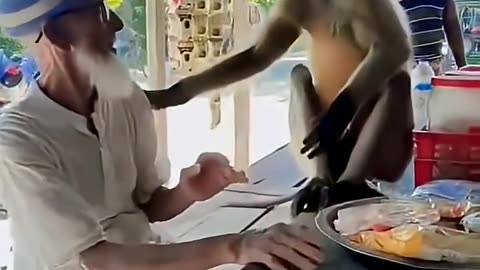 Funny Video (Follow My Channel)