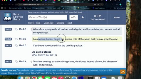 5/28/25 Rev 3:7- The key of David opens when you circumcise your heart in the WORD