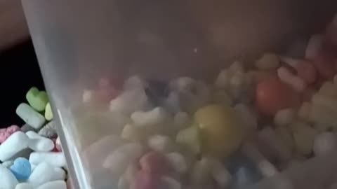 Wack a ferret!