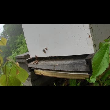 Wednesday Morning Peek