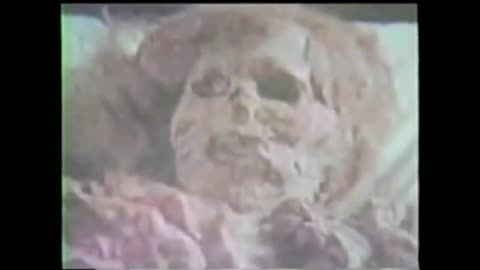 Unveiling the Enigmatic White Mummies of the Tarim Basin