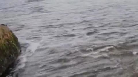 Calming Swirling Waters