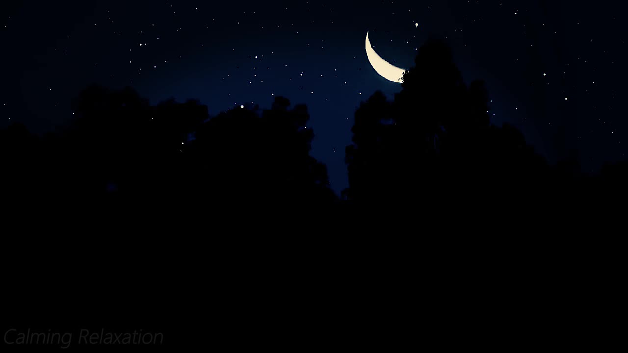 Night Symphony of Nature, Whisper of the Wind, Chirping of Crickets