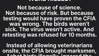 THE TRUTH THEY TRIED TO BURY: What Really Happened at the Universal Ostrich Farm