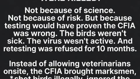 THE TRUTH THEY TRIED TO BURY: What Really Happened at the Universal Ostrich Farm