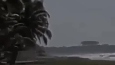 👽