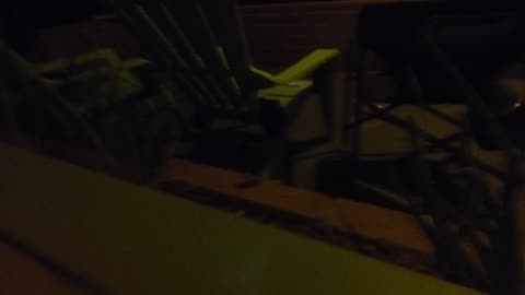Rodent in the window. The one with wiggly tail! ! I must take a trip to California...