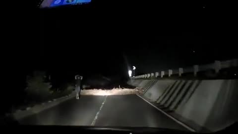 Robbery attempt caught on camera, this driver’s fast reaction saved them