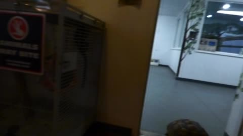 The new marmoset monkeys don't like the tortoise