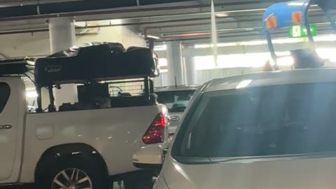 Driver Ignores Height Restriction