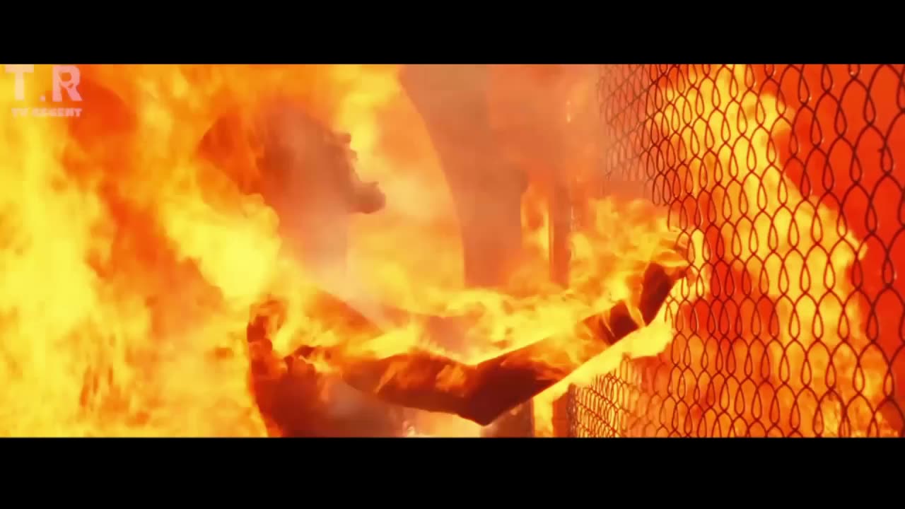 Order #66