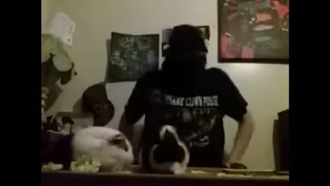 Nizzoes & OG - "The Juggalo Guinea Pigs" & A Young Stonehenge