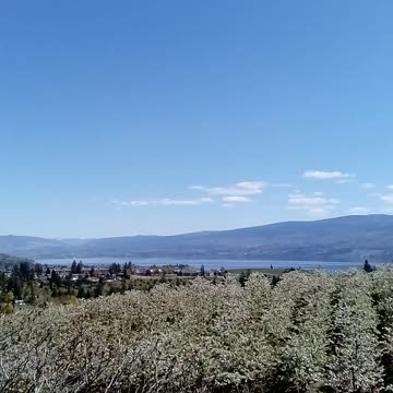 Come and Visit West Kelowna British Columbia 🇨🇦 in the beautiful Okanagan Valley