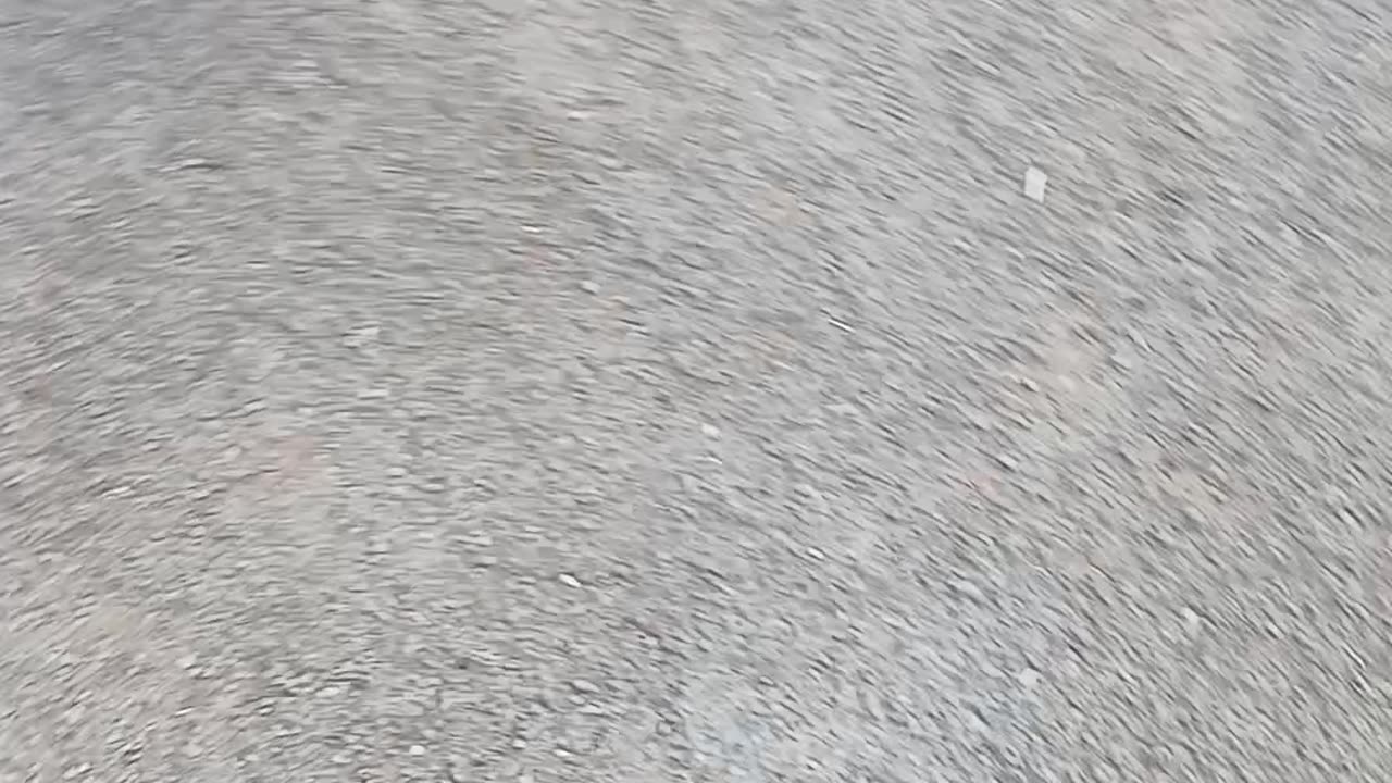 The entitled ones, cops and abuse of life and death