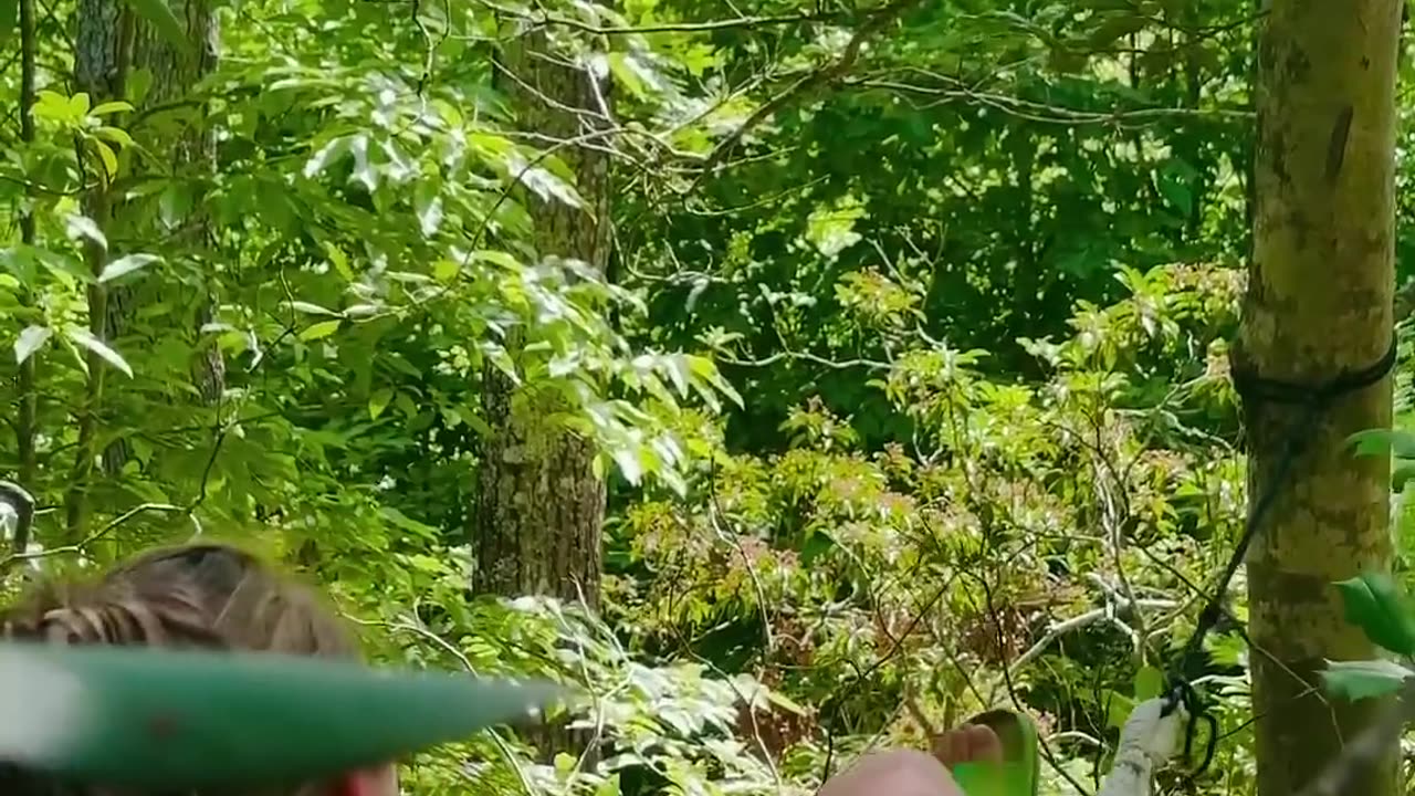 Big Bank Tiktok Challenge 🌶️🔥