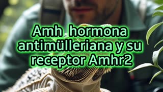 Este dragón cambia de sexo según la temperatura: así lo explica la ciencia.