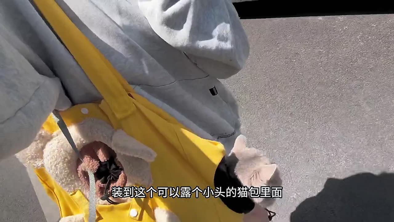 Your Long-Distance Girlfriend's Daily Report P04