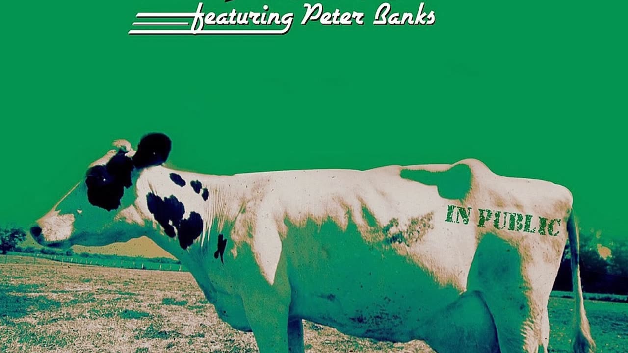 Flash- In Public 2013