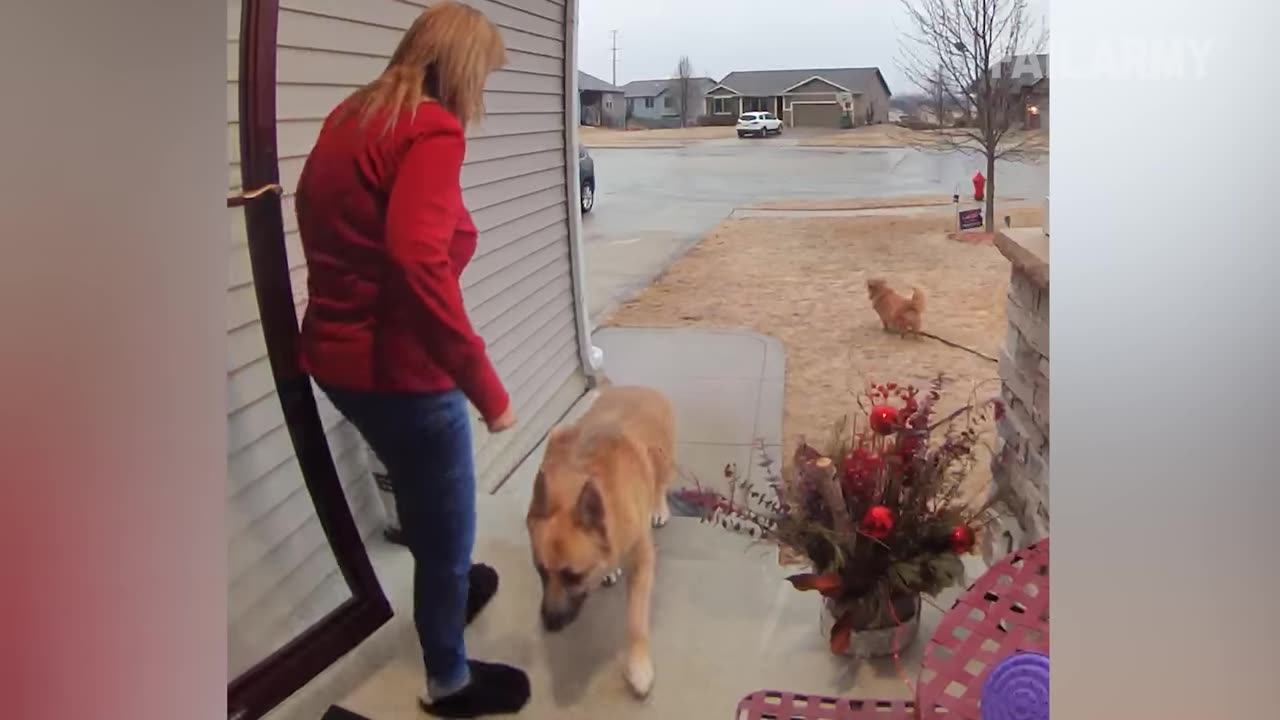 Funniest Fails and Pranks of the Week | I'm a Complete Moron Fresh Compilation 2025