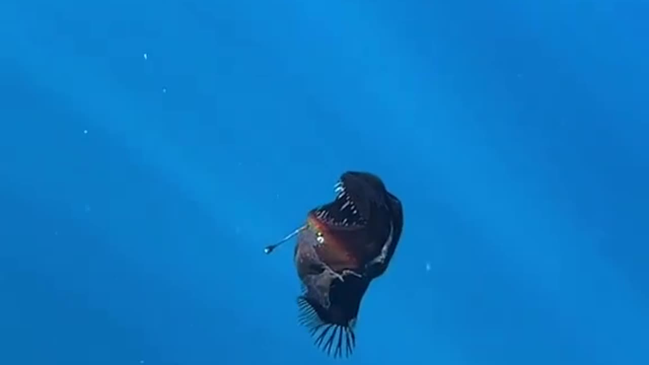Somehow In Shallow Water