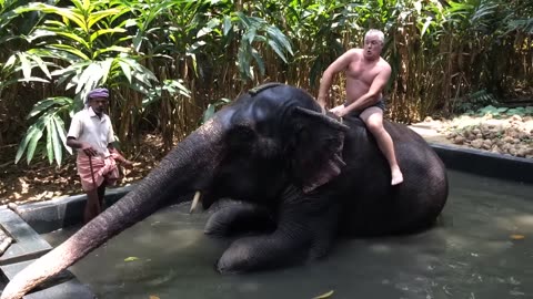TRY NOT TO LAUGH Challenge 😂 | Hilarious Weekend at the Zoo – LAUGH TRIGGER Compilation!