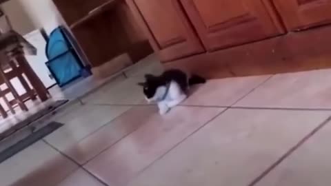 Run...
