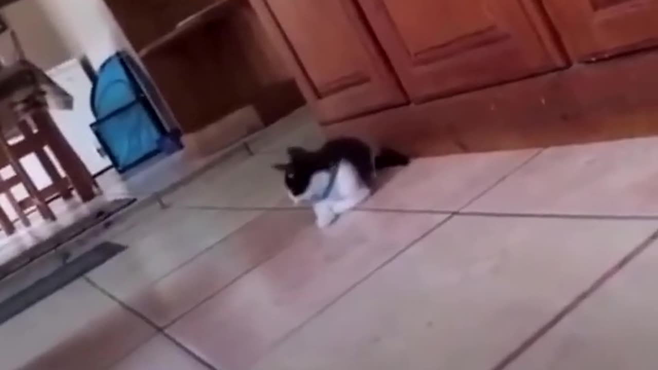 Run...