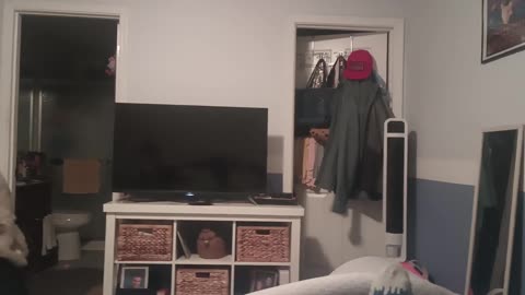 Evil Teletubbies Gets Grounded for Nothing