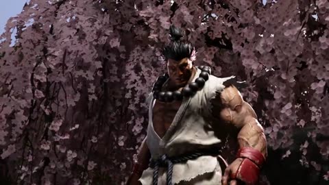 Akuma vs Lilly