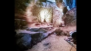 If the Courts Won't What Shall We Do?🙏 02182026.amen