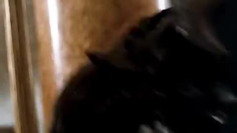 Such an Underrated Hero Movie!