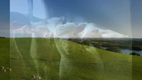 Let Rip Van Winkle Sleep