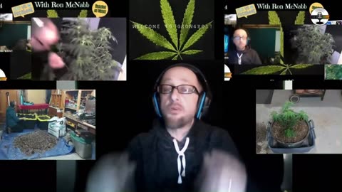 Grow 420 Today