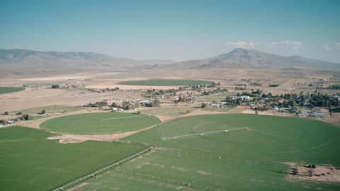Deep Dive On Mosquito Abatement In Payette, Canyon And Ada Co. Idaho
