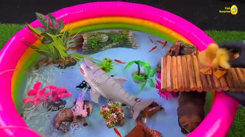 Amazing ducks pond colorful fish surprise, koi, turtle, betta fish satisfying catch, goldfish