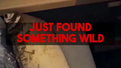 Business Class Airfare Deal - China Eastern $2,116 (Jakarta to Madrid) Business Class