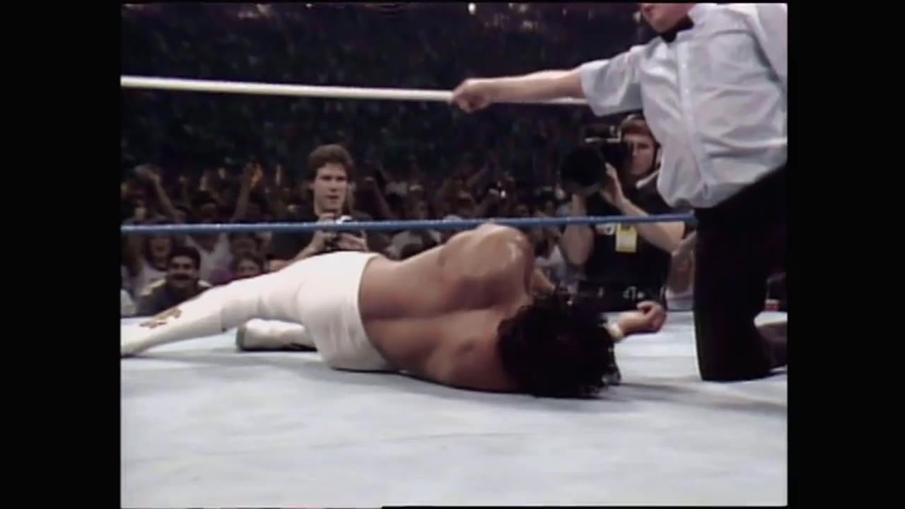 WrestleMania 3