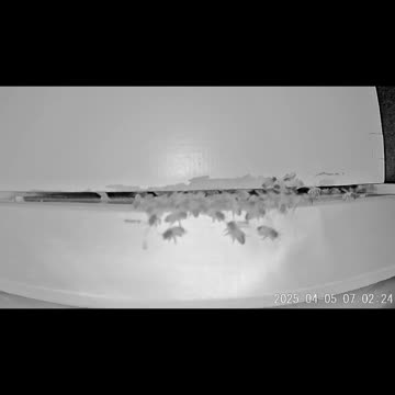 On Your Mark, Get Ready